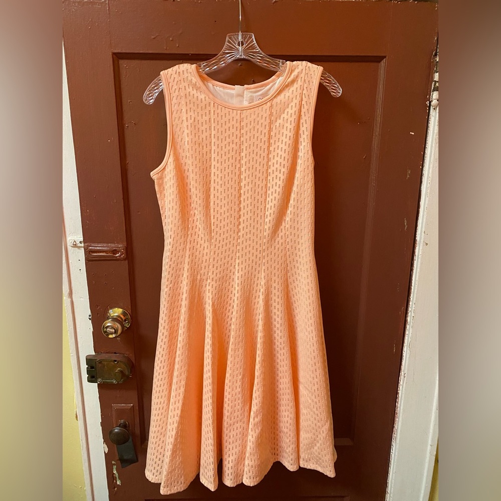 CALVIN KLEIN BLUSH PINK SLEEVELESS A-LINE DRESS WITH SOLID INTERIOR LINING - Picture 10 of 12